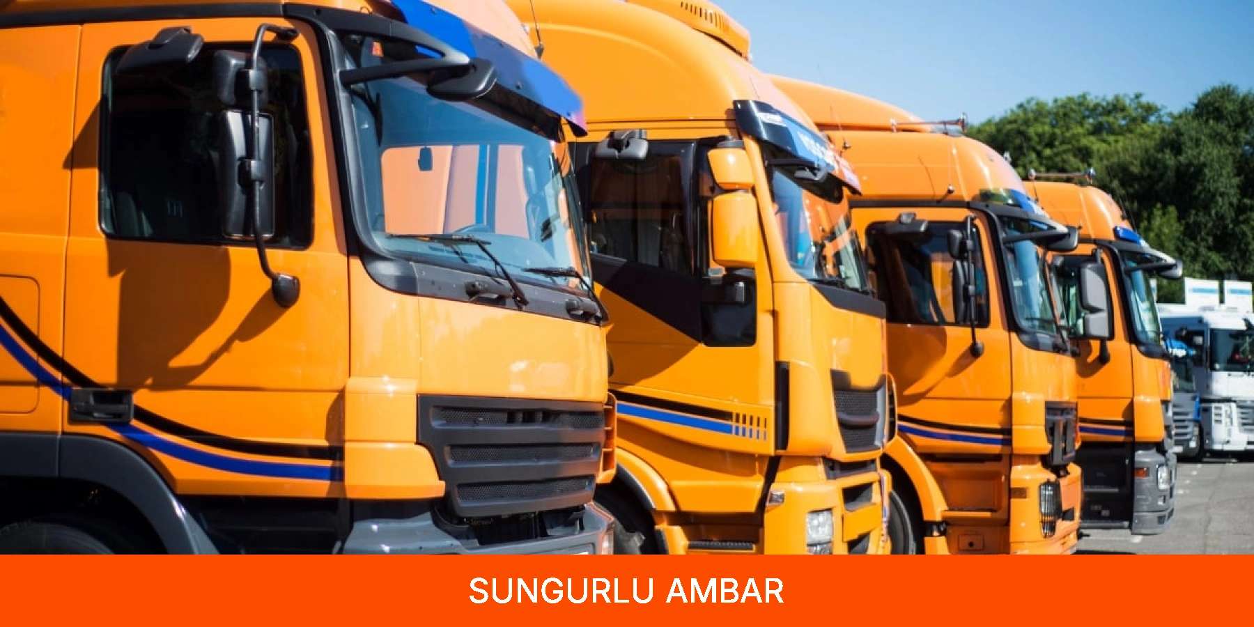 Sungurlu Ambar