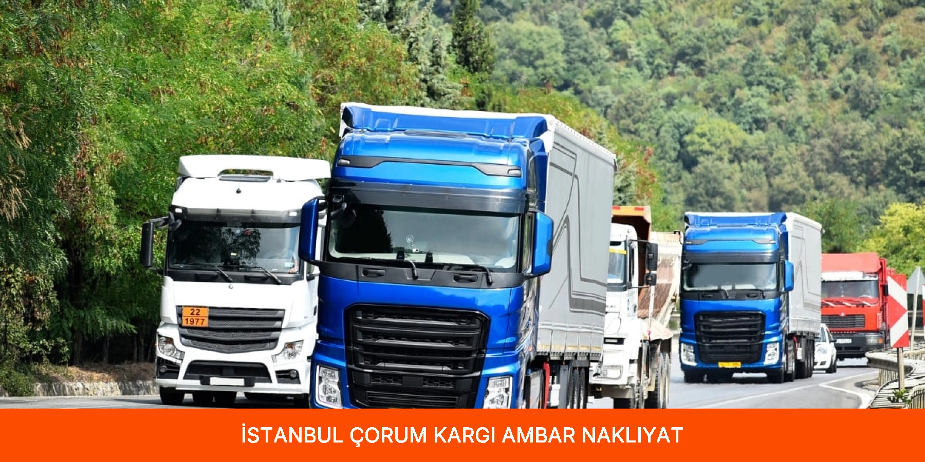 Kargı Ambar